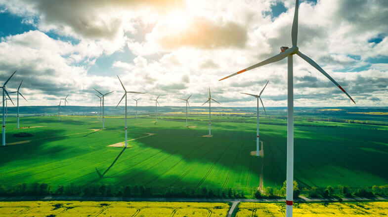 Aerial view of wind turbines and blooming yellow canola field